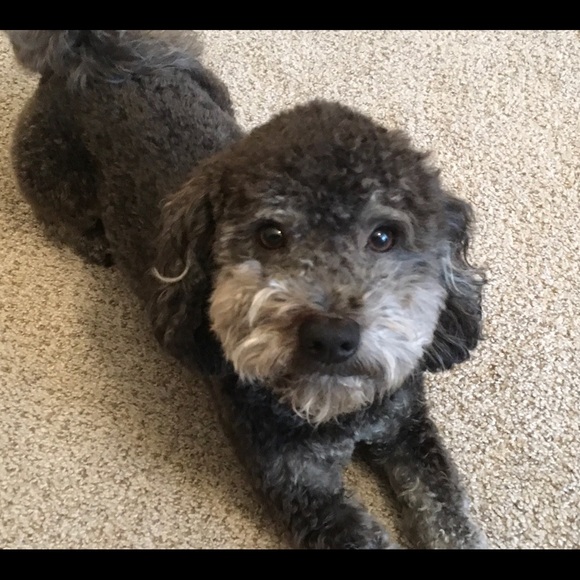 Meet your Posher, Kimberly - Picture 5 of 7